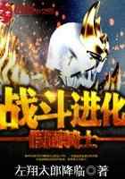 假面骑士—战斗进化