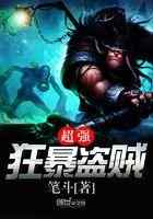 超强狂暴盗贼