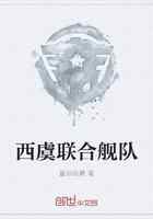 西虞联合舰队