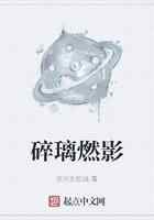 碎璃燃影
