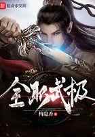 全职武极