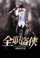 全职盗侠