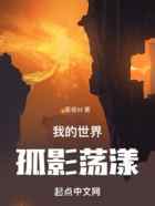 我的世界孤影荡漾