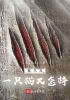 重生是一只猫又怎样