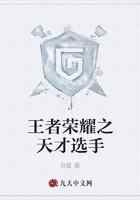 王者荣耀之天才选手