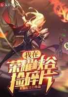 我在荣耀峡谷捡碎片