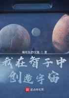 我在智子中创造宇宙