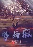 梦与寂