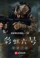 彩虹六号：荣耀之路