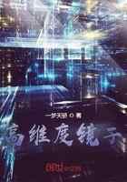 高维度镜子