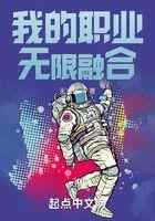 我的职业无限融合