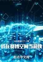 我在赛博空间当游侠