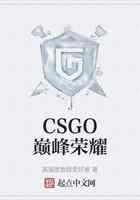 CSGO巅峰荣耀