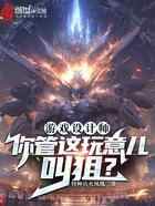 游戏设计师：你管这玩意儿叫狙？