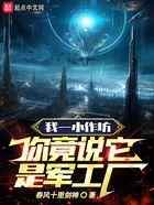我一小作坊，你竟说它是军工厂