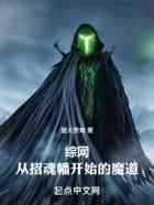 综网：从招魂幡开始的魔道