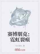 赛博朋克：霓虹裂痕