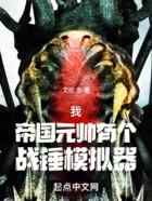 我，帝国元帅，有个战锤模拟器