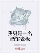 我只是一名酒馆老板