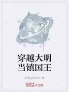 穿越大明当镇国王