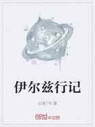 伊尔兹行记