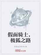 假面骑士，极狐之路