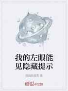 我的左眼能见隐藏提示